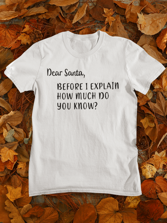 Dear Santa, BEFORE I EXPLIAIN HOW MUCH DO YOU KNOW? - Adult Man or Woman Short Sleeve T-shirt